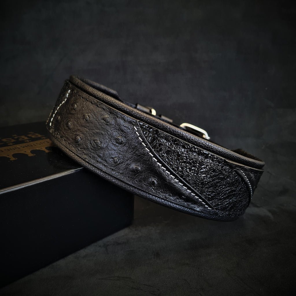 Collar Korona Black Edition — Cuero con Brillo | Bestia