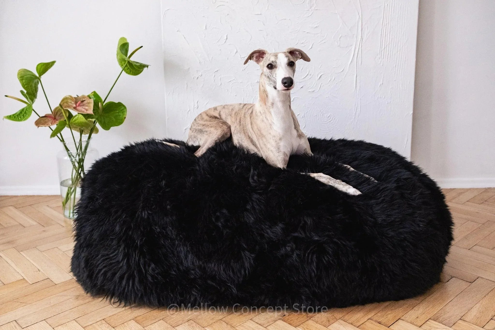 Cama de Piel de Oveja Natural para Mascotas — Negro