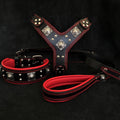 Set EROS — Arnés, Collar y Correa para Perros Grande