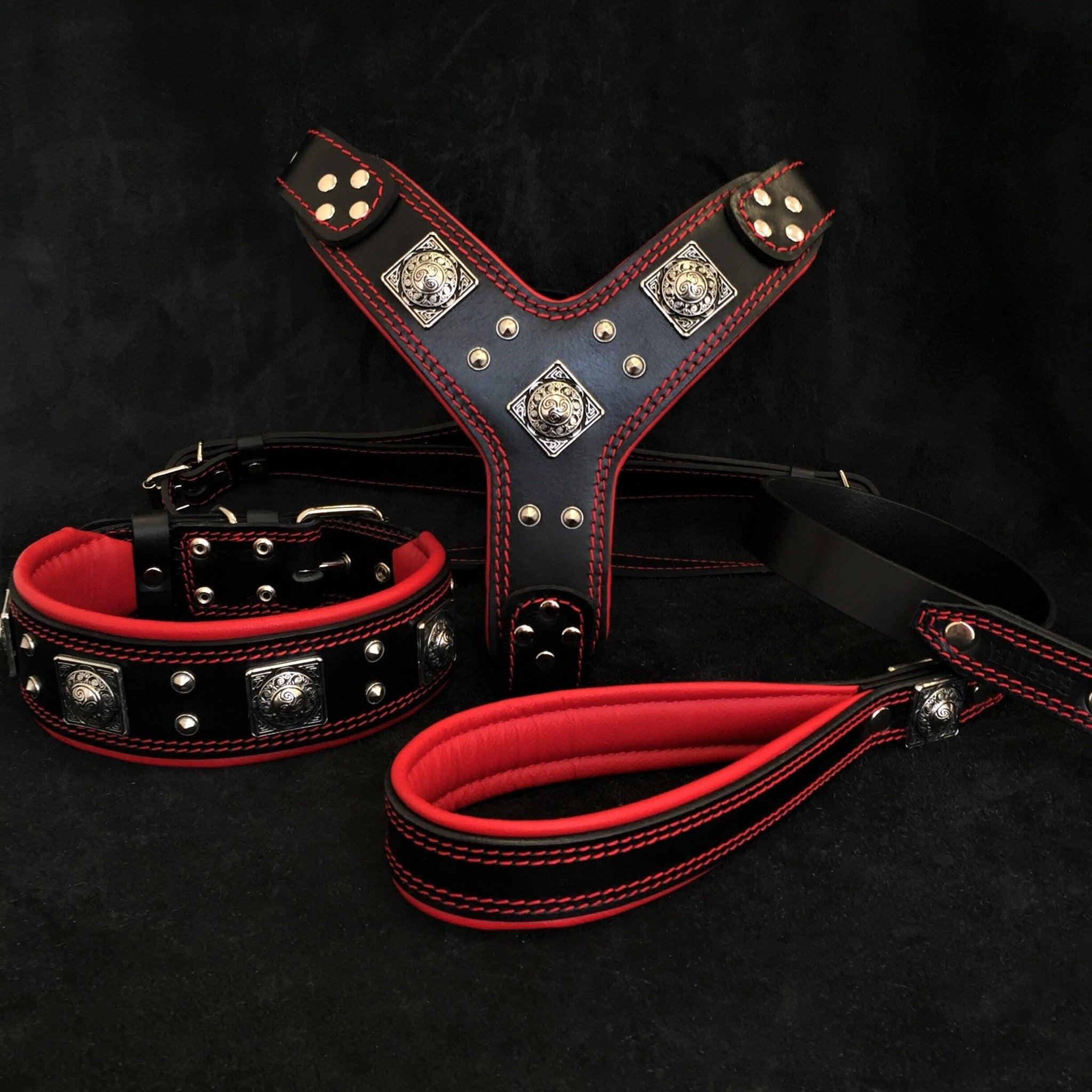 Set EROS — Arnés, Collar y Correa para Perros Grande