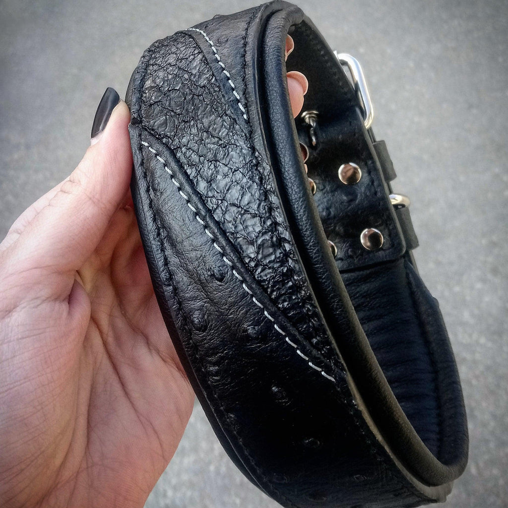 Collar Korona Black Edition — Cuero con Brillo | Bestia
